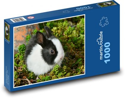 Zajačik - domáce zviera, maznáčik - Puzzle 1000 dielikov, rozmer 60x46 cm