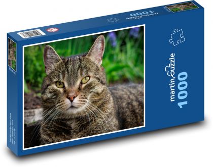 Kočka - domácí mazlíček, zvíře - Puzzle 1000 dílků, rozměr 60x46 cm