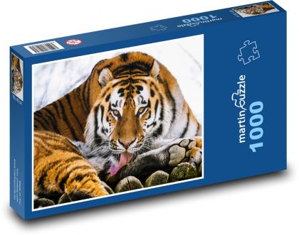 Tiger - zviera, cicavec - Puzzle 1000 dielikov, rozmer 60x46 cm