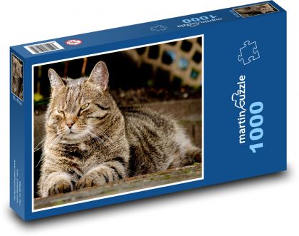 Domestic cat - pet, animal - Puzzle 1000 pieces, size 60x46 cm 