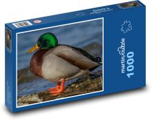 Ente - Seeufer, Wassertier Puzzle 1000 Teile - 60 x 46 cm