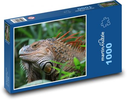 Leguán - plaz, Kostarika - Puzzle 1000 dielikov, rozmer 60x46 cm