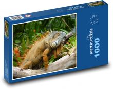 Ještěrka - plaz, leguán Puzzle 1000 dílků - 60 x 46 cm