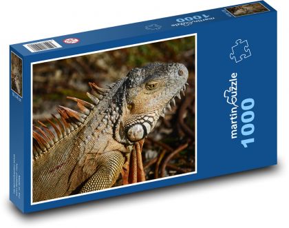 Iguana - lizard, reptile - Puzzle 1000 pieces, size 60x46 cm 