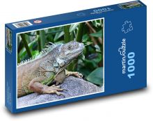 Leguan - Reptil, Tier, Zoo Puzzle 1000 Teile - 60 x 46 cm