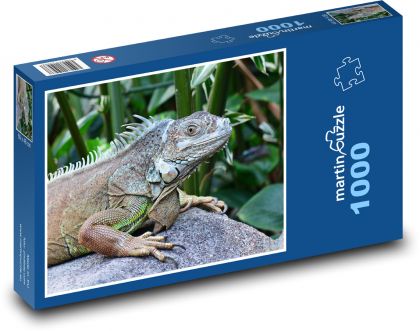 Leguan - Reptil, Tier, Zoo - Puzzle - 1000 Teile