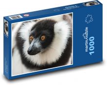 Lemur - opice, zvíře Puzzle 1000 dílků - 60 x 46 cm