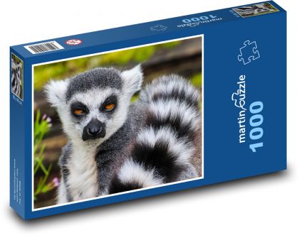Lemur - opice, zoo - Puzzle 1000 dílků, rozměr 60x46 cm