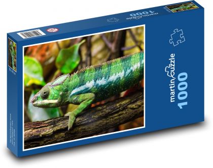 Chameleon - plaz, ještěrka - Puzzle 1000 dílků, rozměr 60x46 cm