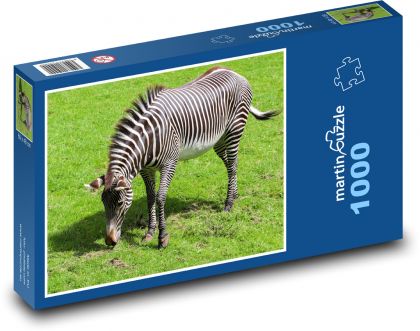 Zebra - Afrika, safari - Puzzle 1000 dielikov, rozmer 60x46 cm