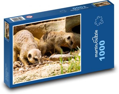 Surikata - zvíře, Afrika - puzzle 1000 dílků