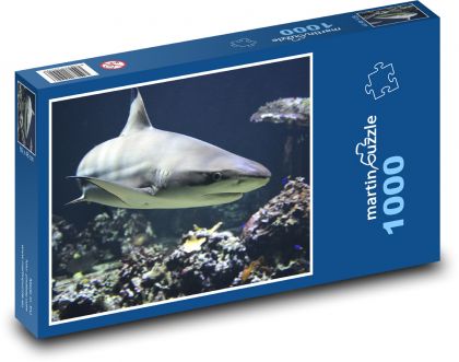 Žralok černý - dravá ryba, moře - Puzzle 1000 dílků, rozměr 60x46 cm