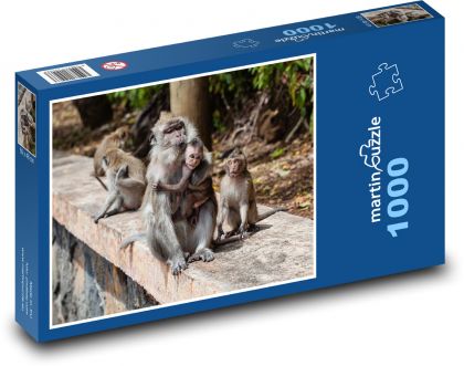 Makak - opice, mládě - Puzzle 1000 dílků, rozměr 60x46 cm
