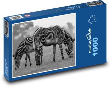 Zebra - animal, Africa - Puzzle 1000 pieces, size 60x46 cm 