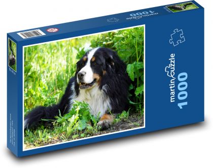 Bernský salašnícky pes - sučka, zviera - Puzzle 1000 dielikov, rozmer 60x46 cm
