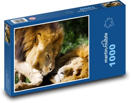 Lev - dravec, velká kočka - Puzzle 1000 dílků, rozměr 60x46 cm