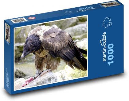 Vulture - bird of prey, animal - Puzzle 1000 pieces, size 60x46 cm 