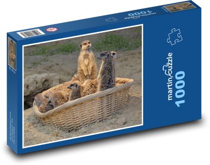 Erdmännchen - Tier, Afrika - Puzzle - 1000 Teile