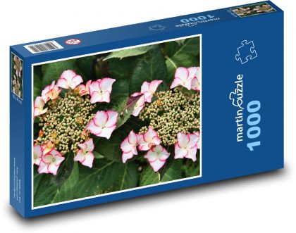 Hortensie - Blumen, Garten - Puzzle - 1000 Teile