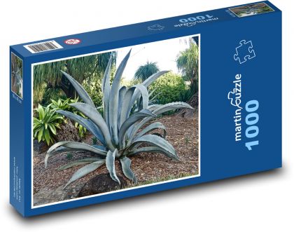 Rostlina - kaktus - Puzzle 1000 dílků, rozměr 60x46 cm