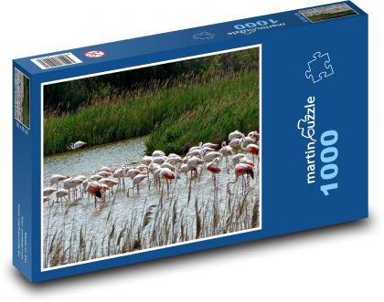 Ružoví plameniaky - jazero, vtáky - Puzzle 1000 dielikov, rozmer 60x46 cm