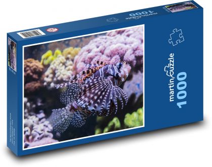 Rotfeuerfisch - Aquarium, Fisch - Puzzle - 1000 Teile