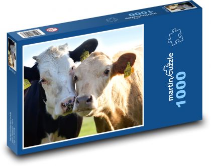 Krowy - bydło, zwierzęta - Puzzle 1000 elementów, rozmiar 60x46 cm
