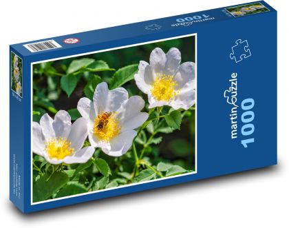 Rosehip - white flower, bee - Puzzle 1000 pieces, size 60x46 cm 