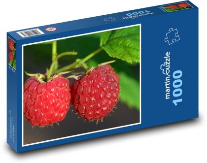 Maliny - červené ovoce, jídlo - Puzzle 1000 dílků, rozměr 60x46 cm