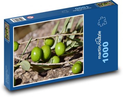 Zelené olivy - rostlina, příroda - Puzzle 1000 dílků, rozměr 60x46 cm