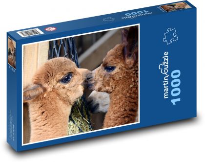 Alpaca - animal, mammal - Puzzle 1000 pieces, size 60x46 cm 