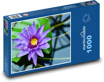 Fialový leknín - vodní rostlina, květ - Puzzle 1000 dílků, rozměr 60x46 cm
