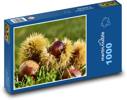 Kaštan - podzim, příroda - Puzzle 1000 dílků, rozměr 60x46 cm