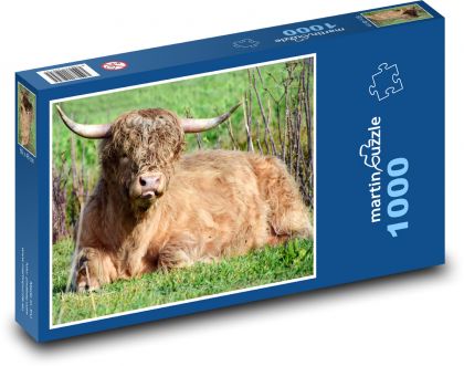 Býk - zvíře, farma  - Puzzle 1000 dílků, rozměr 60x46 cm