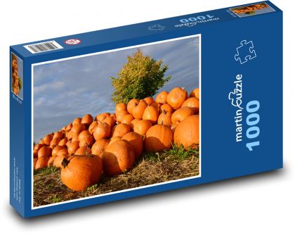 Giant pumpkin - autumn, harvest - Puzzle 1000 pieces, size 60x46 cm 