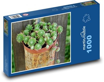Kaktus - květináč, dekorace - puzzle 1000 dílků
