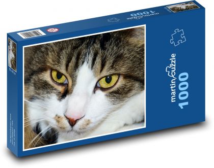 Kočka domácí - mazlíček, kocour - Puzzle 1000 dílků, rozměr 60x46 cm