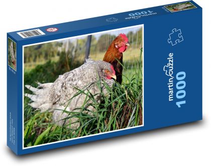 Henne - Hahn, Huhn - Puzzle - 1000 Teile