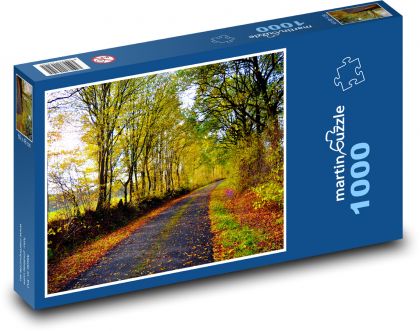 Podzimní krajina - silnice, stromy - Puzzle 1000 dílků, rozměr 60x46 cm