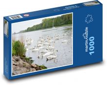 Labutě - ptáci, zvířata Puzzle 1000 dílků - 60 x 46 cm