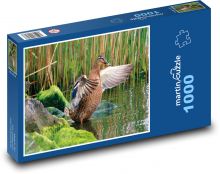 Duck - wild bird, water Puzzle 1000 pieces - 60 x 46 cm 