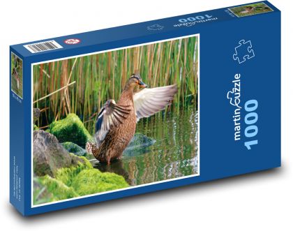 Duck - wild bird, water - Puzzle 1000 pieces, size 60x46 cm 