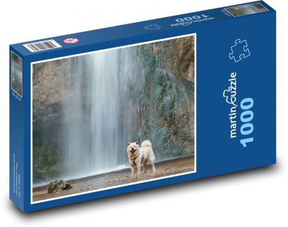 Hund, Wasserfall - Puzzle - 1000 Teile