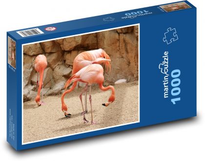Plameňáci - ptáci, zoo - Puzzle 1000 dílků, rozměr 60x46 cm