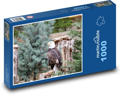 Ptak - Orzeł - Puzzle 1000 elementów, rozmiar 60x46 cm