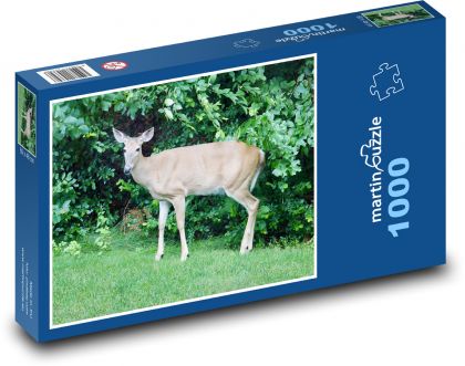 Deer, Animal - Puzzle 1000 pieces, size 60x46 cm 