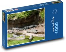Aligátory - krokodíl Puzzle 1000 dielikov - 60 x 46 cm