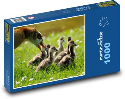 Husy - mláďata - Puzzle 1000 dílků, rozměr 60x46 cm