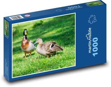 Kačer a kačena - puzzle 1000 dílků