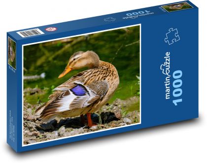 Tier - Ente - Puzzle - 1000 Teile